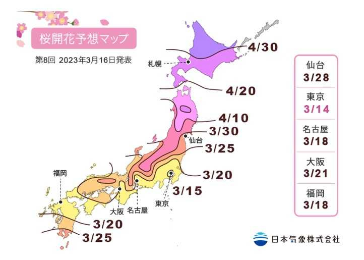 日本氣象廳公開櫻花開花時間。（圖／翻攝自日本氣象廳）